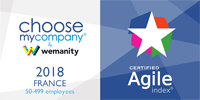 Choosemycompany - Agile index - 2018