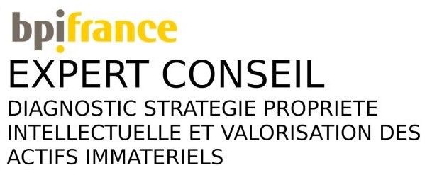 EXPERT CONSEIL - BPIFRANCE