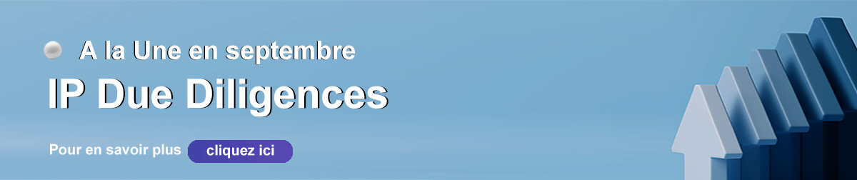 Audit PI ou IP Due diligence